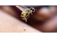 34960f0808db6de69fe55f1c5563fc1f