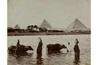 صور نادرة لفيضان النيل قبل بناء السد العالي
