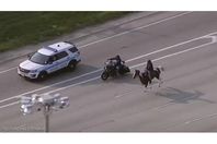 مقطع من الفيديو