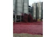 33646246-8775233-image-m-37_1601113930502