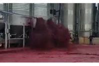 فيديو مروع.. لحظة انفجار 50 ألف لتر من النبيذ الأحمر
