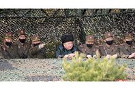 1044877674_0_212_2362_1490_1000x541_80_0_0_4d0ab18b9370ecd66f482d3ae36d929c (1)