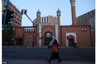 33791754-8787781-image-a-75_1601428619147