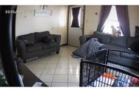 شبح يخيف الكلاب أثناء وجودها بالمنزل