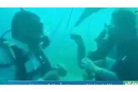 بببببببثثثثثثثثث