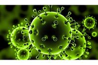 فيروس كورونا