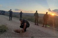 19410684911630919589