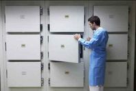 coptstoday-11510159008