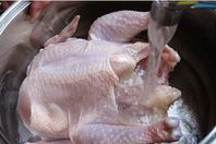 هل-غسل-الدجاج-سم-قاتل-؟1