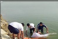 5edf937d421aa97f2c2044a2