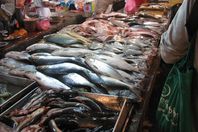 2017_2_8_16_45_56_495