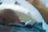 72019711054860804795