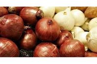 2023_9_23_13_0_42_629