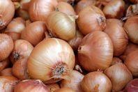 1048826515_0_97_1920_1182_1920x0_80_0_0_bd19d973c5970cff8766465bc7c0e46b