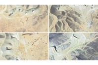 66e93c7c4c59b737b131f737