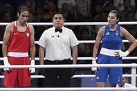 68c446894236040ed511b983