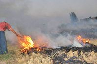 حملات ميدانية لمتابعة حرائق قش الأرز بالبحيرة