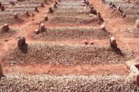 ينبش قبر خاله للبحث عن "آيفون 7"!