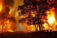 السيطرة على حريق غابات قرب تشرنوبيل بأوكرانيا