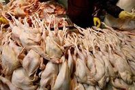 ضبط 141 كيلو دواجن ومشتقاتها غير صالحة للاستهلاك الآدمي بمنفلوط