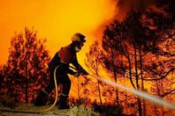 حرائق ضخمة تهدد ثالث مدينة في نيوزيلندا