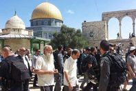 110 مستوطنين يقتحمون "الأقصى" اليوم