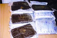 700 طربة حشيش بحوزة تجار بالإسكندرية