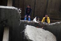 إزالة عقار مخالف بالعجوزة