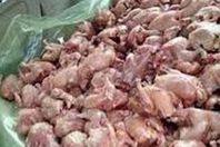 ضبط 35 طن دواجن فاسدة