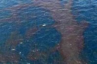 رعب بكفر الشيخ بعد تسرب بقعة سولار على مساحة 100 متر