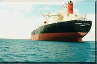 وصول سفن محملة بالبوتاجاز والسيارات للسويس