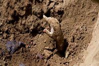 فتاة القبور تنفى دفنها حية بإحدى المقابر بالمنيا