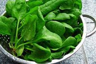 السبانخ بدلا عن البنزين ... قريبا