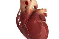 دراسة: "انكسار القلب" يؤدي للموت