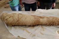 ضبط مومياء بحوزة مزارع بالوادي الجديد