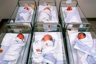 الإسكندرية تسجل تراجعًا بمعدلات الإنجاب ووفيات الأمهات