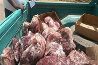 ضبط 201 طن لحوم فاسدة بالجيزة