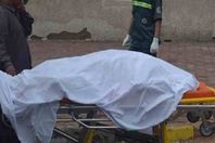 نجار يقتل طالب هندسة بميت الموز