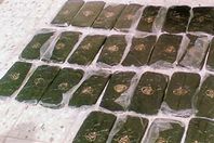 حبس تاجر مخدرات بـ30 طربة حشيش بالإسكندرية