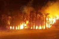 حريق هائل يلتهم مزرعة نخيل بالوادى الجديد‎