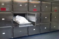 مصرع طفل إثر إصابته برش خرطوش في الرأس