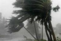 اقتلاع الأشجار وأعمدة الإنارة بسبب شدة الرياح بكفر الشيخ