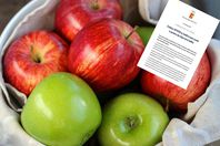 "تفاح فرنسي" يحدث جدلاً بين الجزائر وباريس