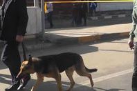 كلاب بوليسية لتمشيط محكمة عابدين للاشتباه بوجود عبوة ناسفة