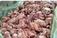 التحفظ على 6 أطنان دجاج فاسد بالمنتجعات السياحية