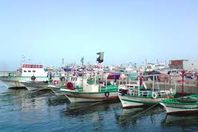 غلق ميناء البرلس ووقف الصيد بكفر الشيخ