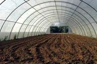 صوب زراعية "أتوماتيكية".. ابتكار جديد لهندسة منوف