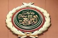 وصول وفد مراقبى جامعة الدول العربية الى الجزائر