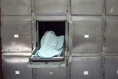 6921829931814202512030730333033