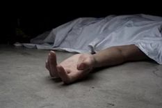 692182993181420260303050922922